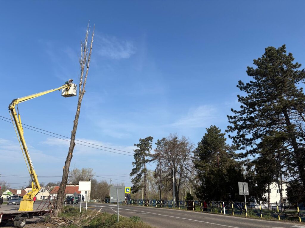 Akcije uređenja javnih površina i objekata u mesnoj zajednici Skela